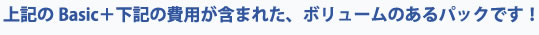 ボリュームのあるパックです